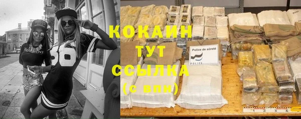 ешки Новодвинск