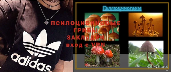 ешки Новодвинск