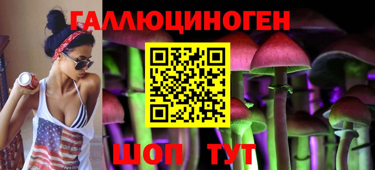 Галлюциногенные грибы Psilocybine cubensis  купить  цена  Кимры 