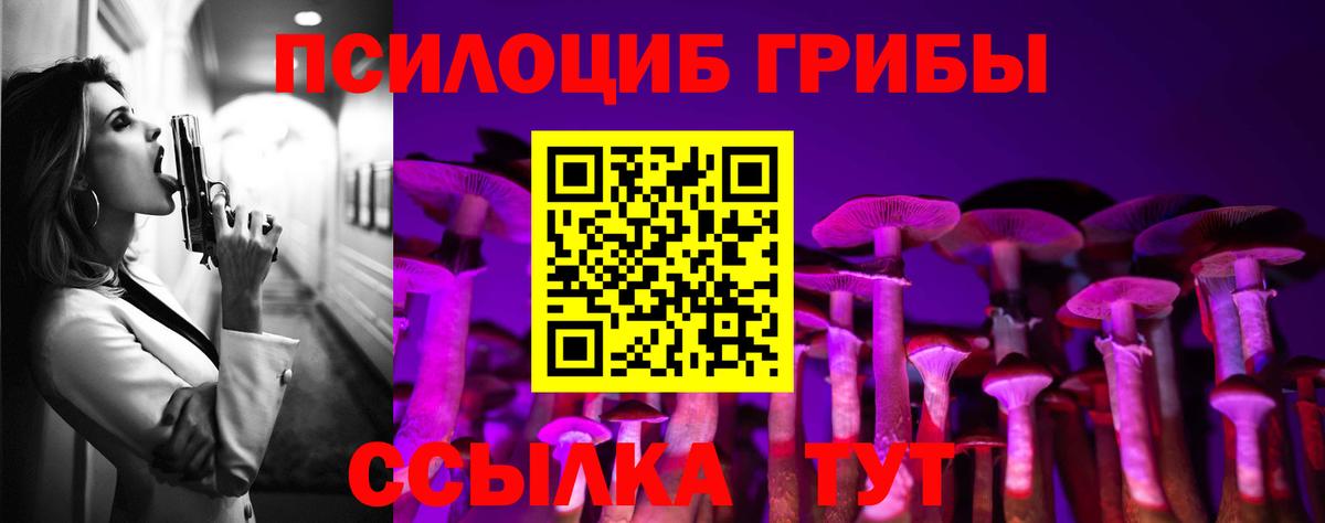 Кимры  Псилоцибиновые грибы мицелий  Вход с VPN 